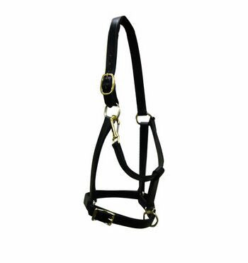 Draft Leather Halter at Spring Saddlery