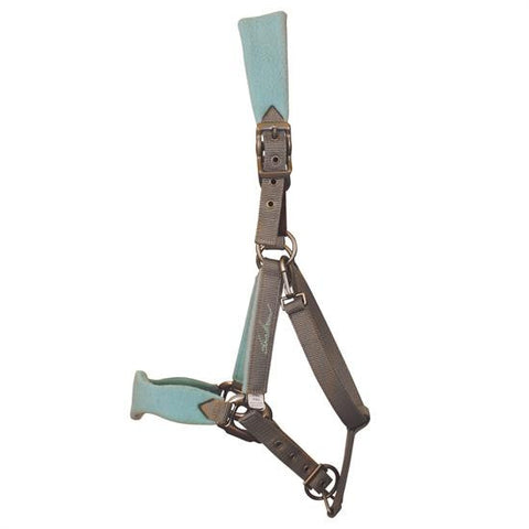 Shedrow Breakaway Halter at Spring Saddlery