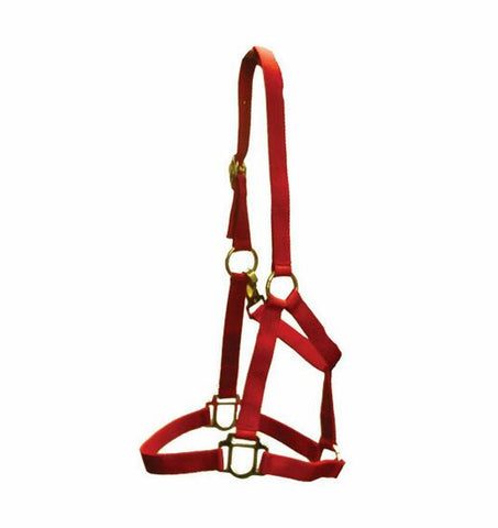 Shedrow Deluxe Halter at Spring Saddlery