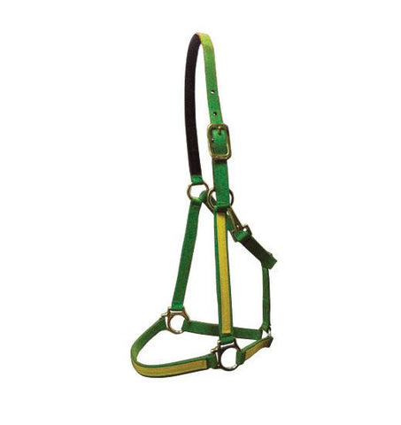 Walsh Nylon Halter at Spring Saddlery