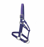 Walsh Premium Halter at Spring Saddlery